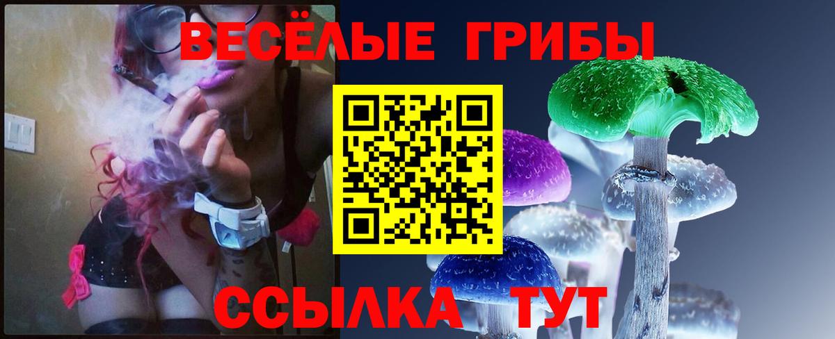 Нальчик  Галлюциногенные грибы GOLDEN TEACHER  Вход с VPN  Галлюциногенные грибы Psilocybine cubensis 
