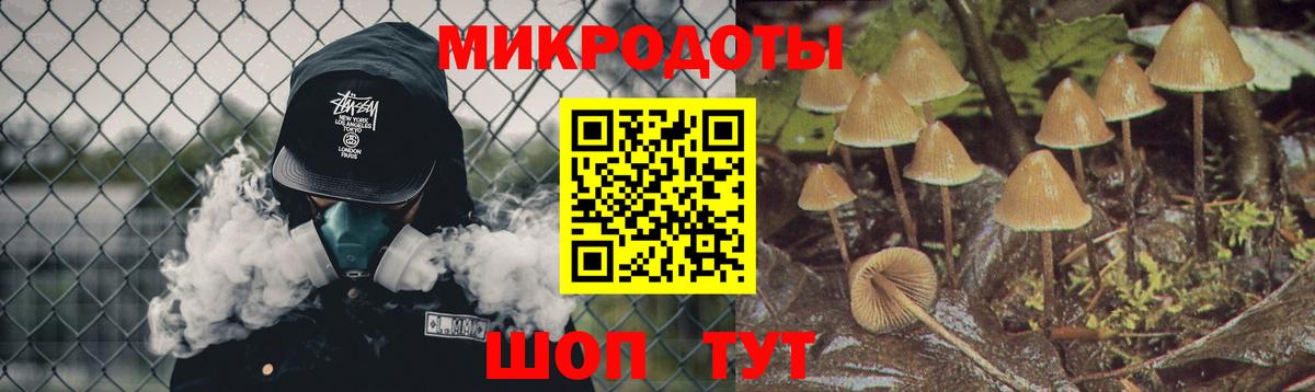 Галлюциногенные грибы мухоморы Нальчик